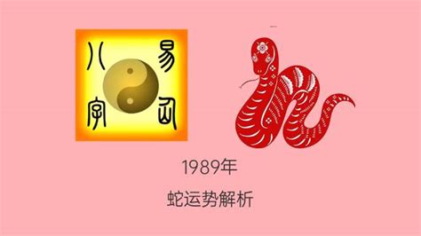 1989是什么蛇|1989年属蛇是什么命 1989年出生人的命运